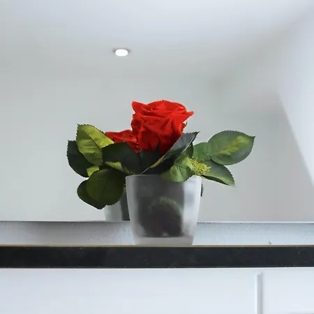 Moseltraum-fewo Mit Klimaanlage, Balkon Und Burgblick *