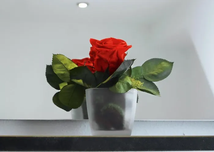 Moseltraum-fewo Mit Klimaanlage, Balkon Und Burgblick *